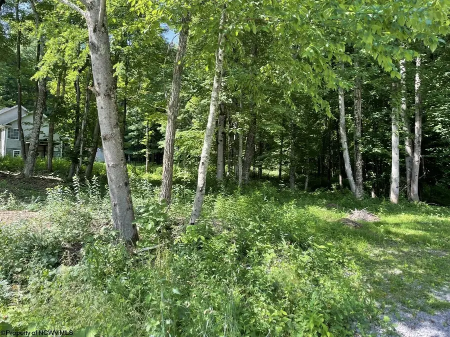 Lot 1 Kimberly Lane, Kingwood, WV 26537 - Image #3