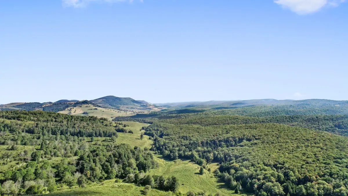 1303 Sinks Road, Harman, WV 26270 - Image #1