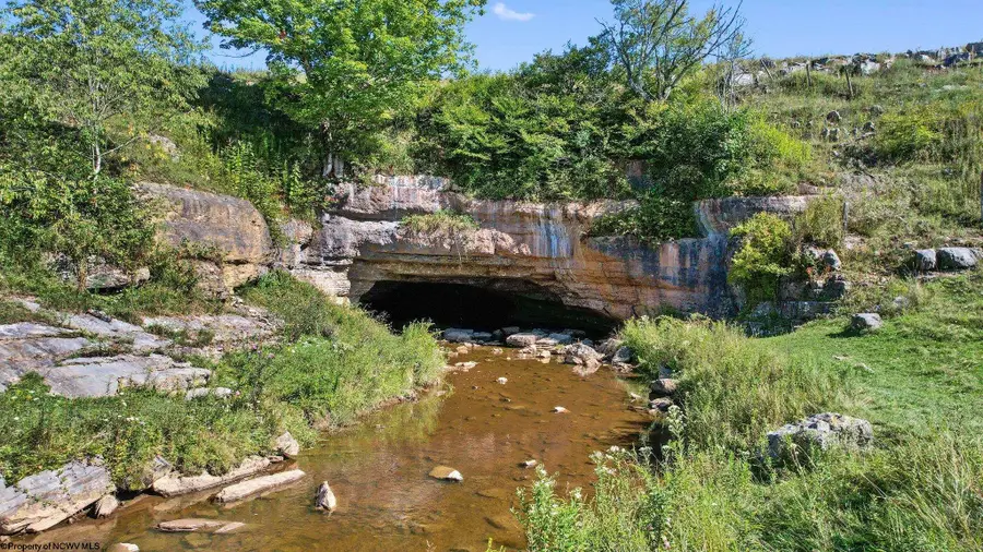 1303 Sinks Road, Harman, WV 26270 - Image #2