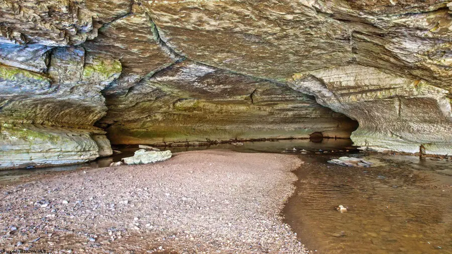 1303 Sinks Road, Harman, WV 26270 - Image #3