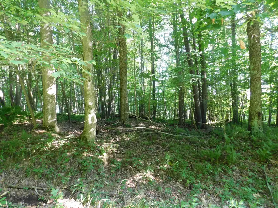Lot 7 Cherry Wood Lane, Terra Alta, WV 26764 - Image #2