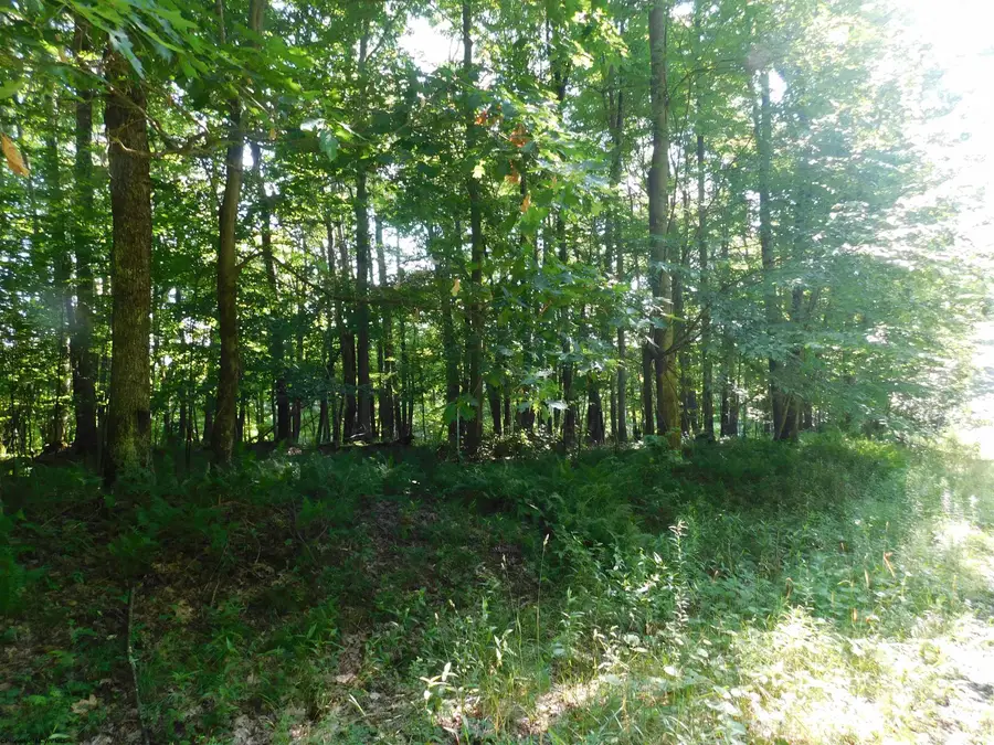 Lot 7 Cherry Wood Lane, Terra Alta, WV 26764 - Image #3