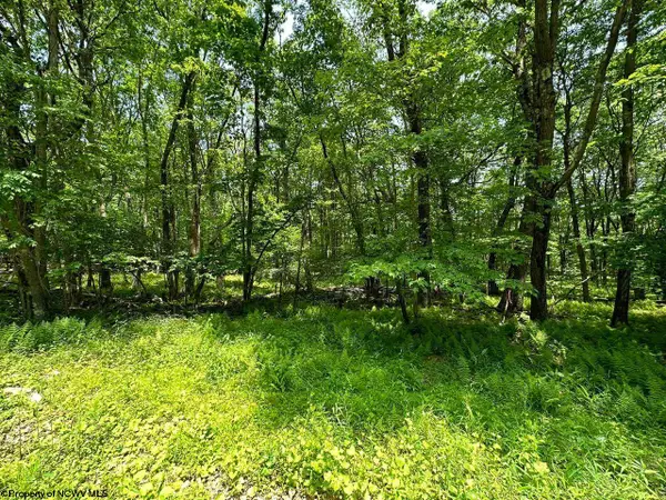 Lot 94 East Alpine Drive, Terra Alta, WV 26764