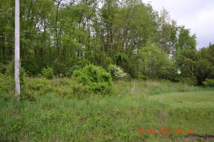 000 Lucas Dairy Road, Grafton, WV 26354 - Image #2