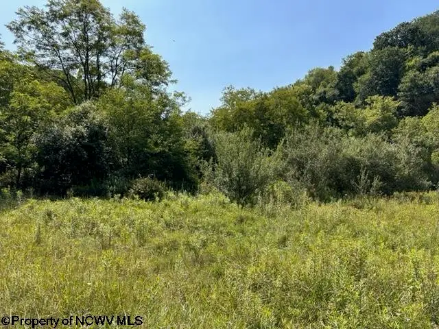 Lot 1 Trail View Lane, Masontown, WV 26542 - Image #3