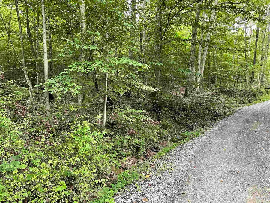 917 Mudlick Run Road, Fairmont, WV 26554 - Image #2