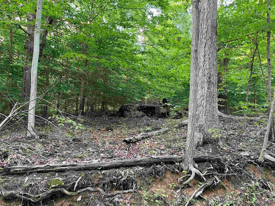 917 Mudlick Run Road, Fairmont, WV 26554 - Image #3