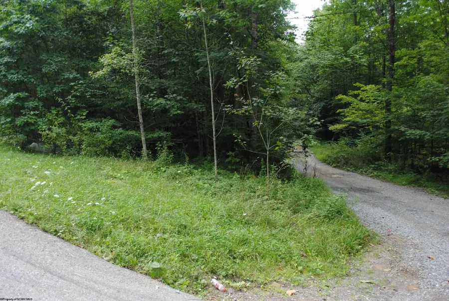 TBD Crusader Drive, Huttonsville, WV 26273 - Image #3