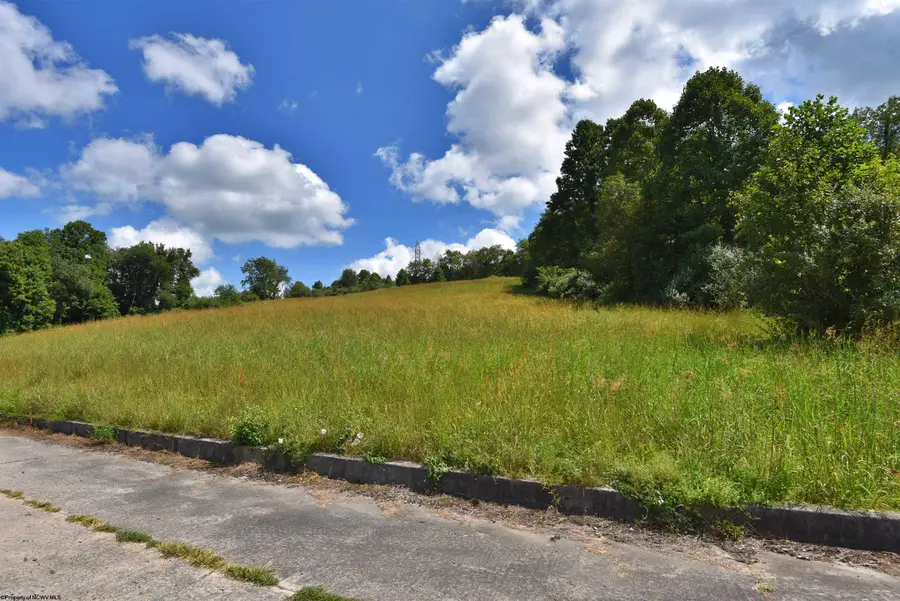 Lot 37 Birch Street, Grafton, WV 26354 - Image #3