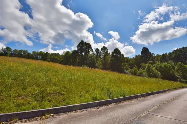 Lot 39 Birch Street, Grafton, WV 26354