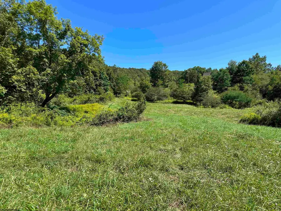 Lot 2 Alpenglow Ridge Drive, Dry Fork, WV 26260 - Image #3