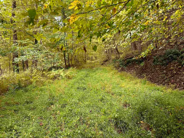 Lot 6 Deckers Trail Road, Masontown, WV 26542