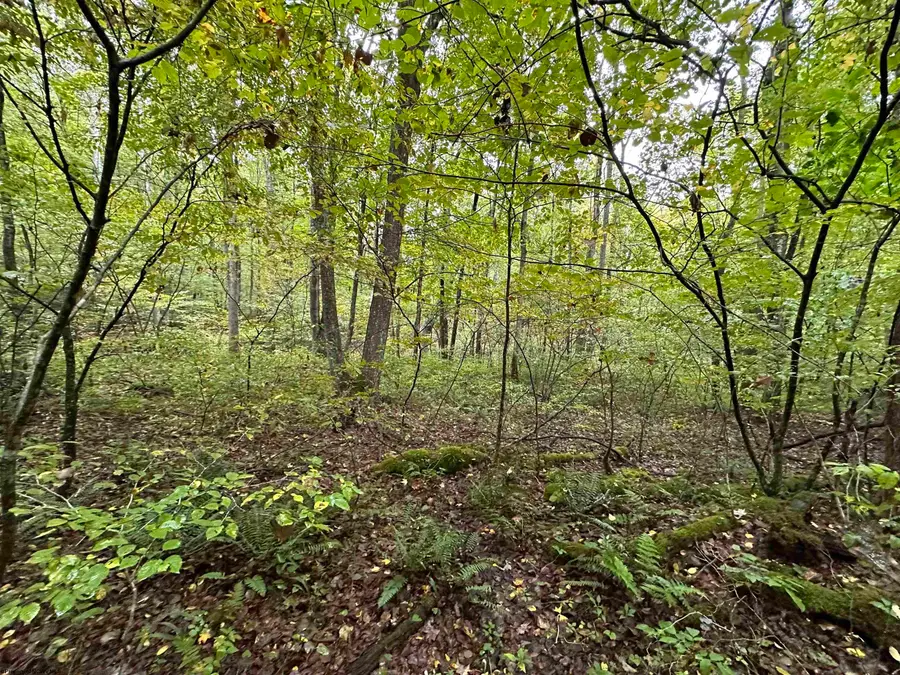 Lot 6 Deckers Trail Road, Masontown, WV 26542 - Image #3