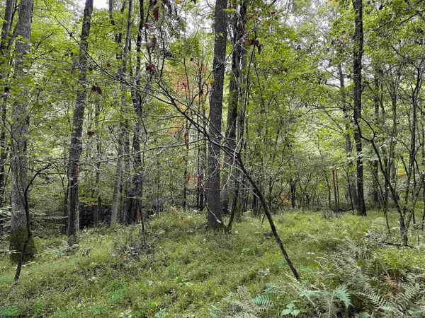 Lot 7 Deckers Trail Road, Masontown, WV 26542