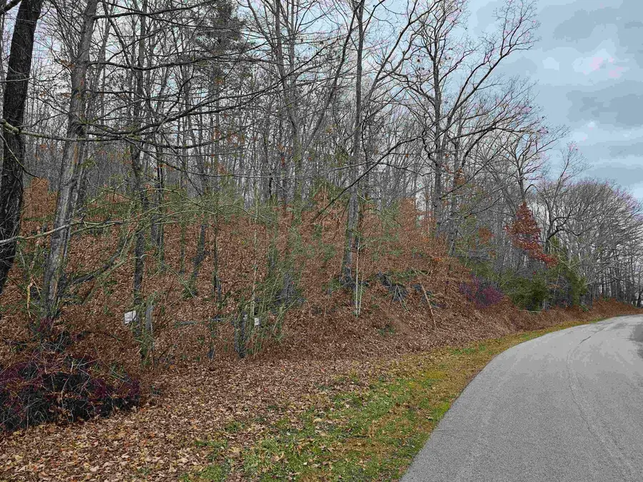 TBD McAtee Drive, Huttonsville, WV 26273 - Image #2