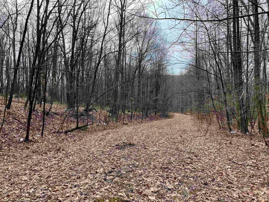 Lot 28 Hobbits Glenn Estates, Masontown, WV 26542 - Image #2