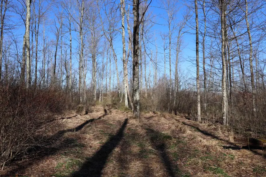 TBD King Summit Road, Coalton, WV 26257 - Image #3