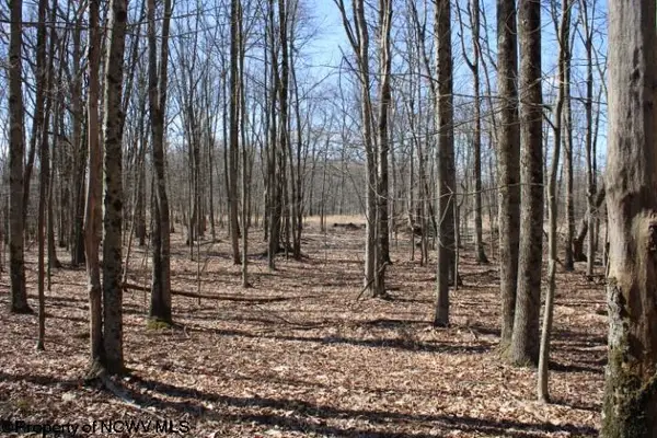 Lot 7 Sand Bank Heights Road, Masontown, WV 26542