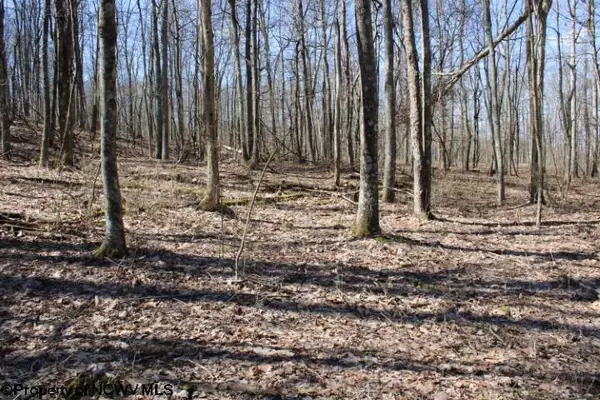Lot 5 Sand Bank Heights Road, Masontown, WV 26542