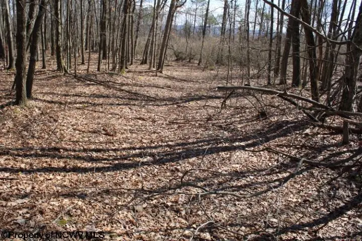 Lot 4 Sand Bank Heights Road, Masontown, WV 26542 - Image #2