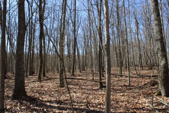 Lot 3 Sand Bank Heights Road, Masontown, WV 26542 - Image #2
