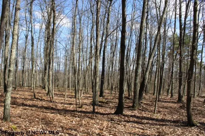 Lot 3 Sand Bank Heights Road, Masontown, WV 26542 - Image #3