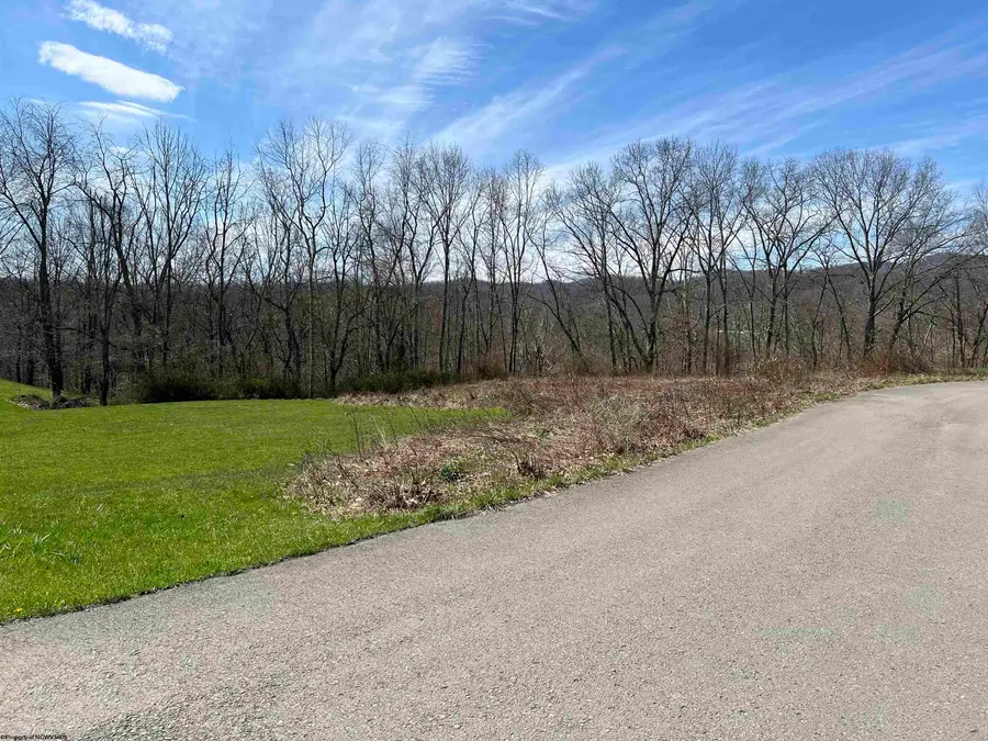 LOT 9 Bosworth Drive, Elkins, WV 26241 - Image #3
