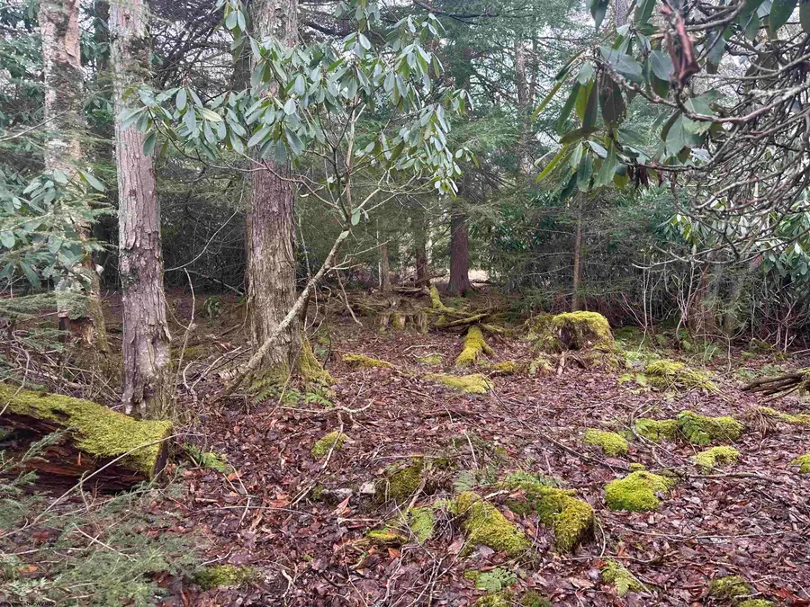 Lot 4 Medici Lane, Davis, WV 26260 - Image #2