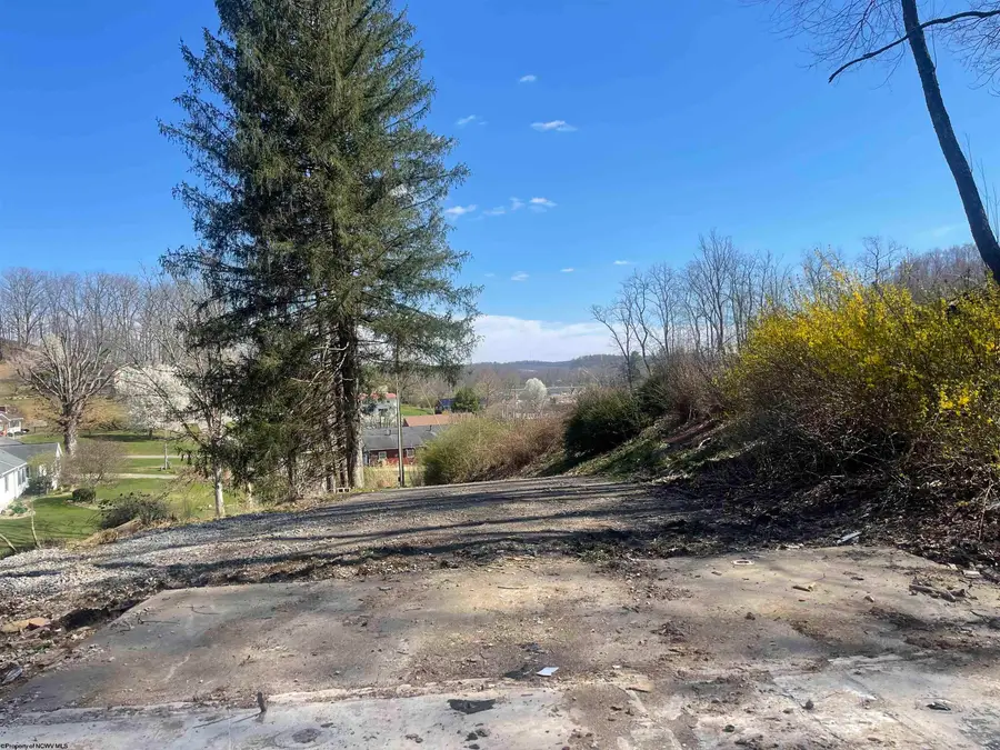 218 Academy Street, Buckhannon, WV 26201 - Image #2