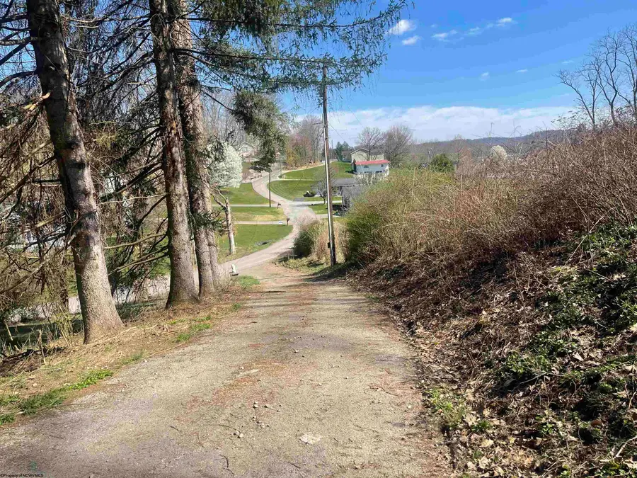 218 Academy Street, Buckhannon, WV 26201 - Image #3