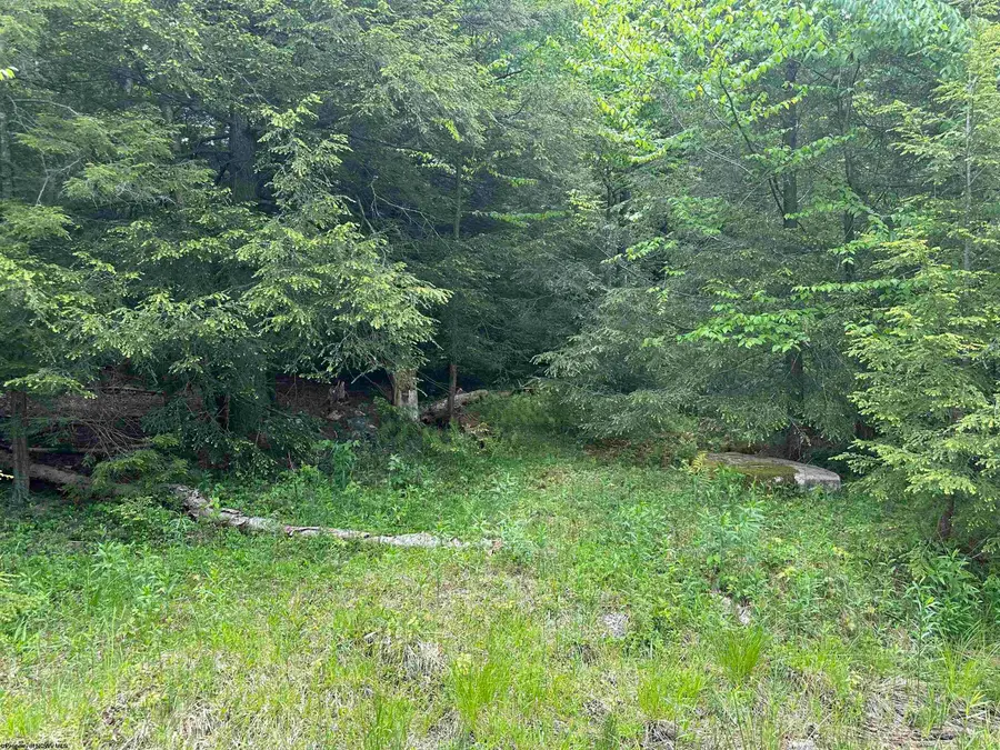 Lot 96 Gondola Court, Davis, WV 26260 - Image #3