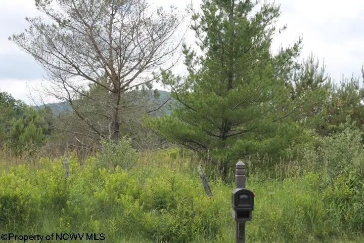 DEGHI Cortland Road, Davis, WV 26260 - Image #2