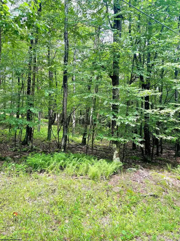 Lot 120 Hemlock Circle, Terra Alta, WV 26764