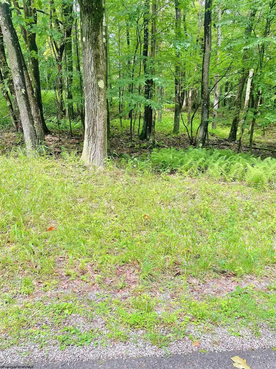 Lot 120 Hemlock Circle, Terra Alta, WV 26764 - Image #2