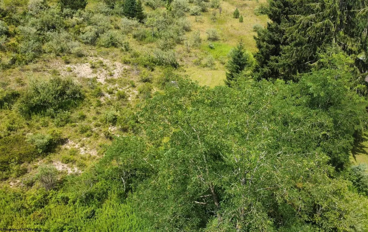 57 Bluebird Drive, Terra Alta, WV 26764 - Image #1