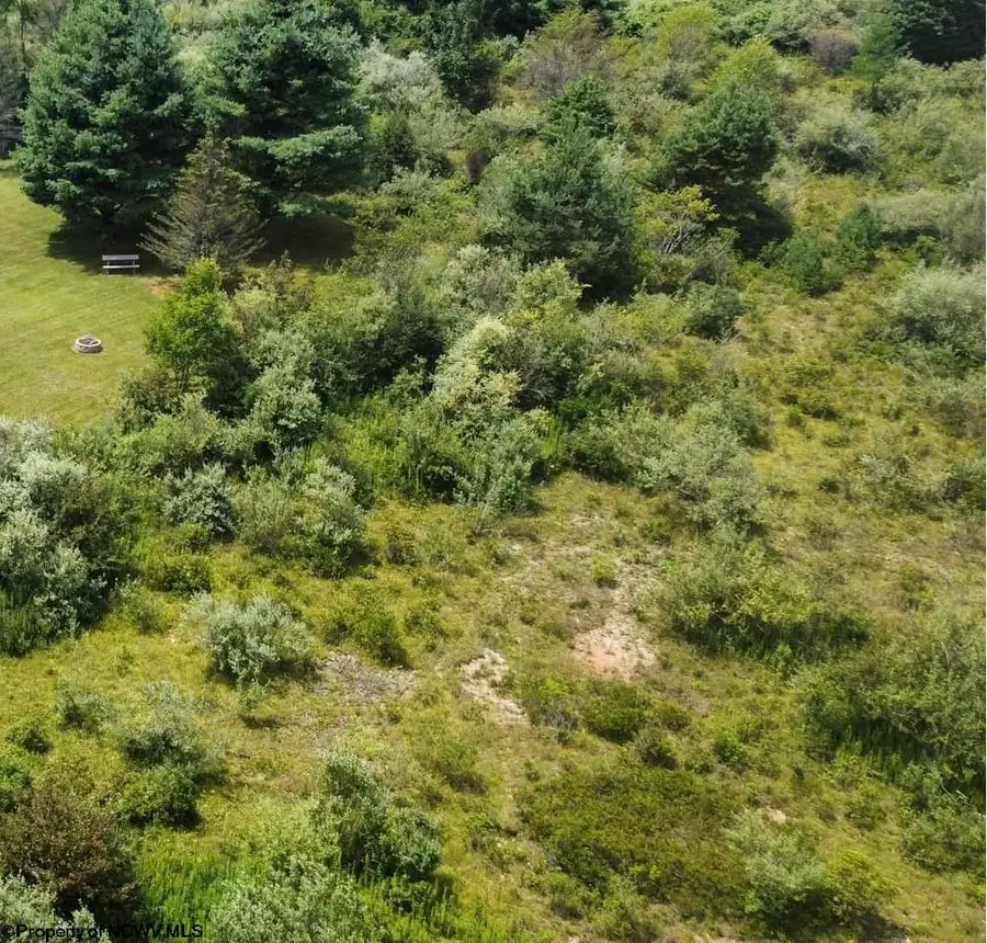 57 Bluebird Drive, Terra Alta, WV 26764 - Image #2