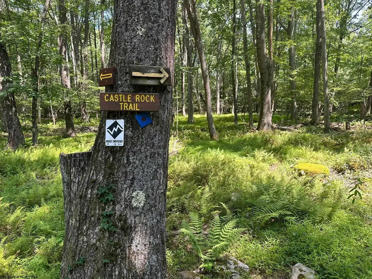 10 Aster Drive, Terra Alta, WV 26764 - Image #1