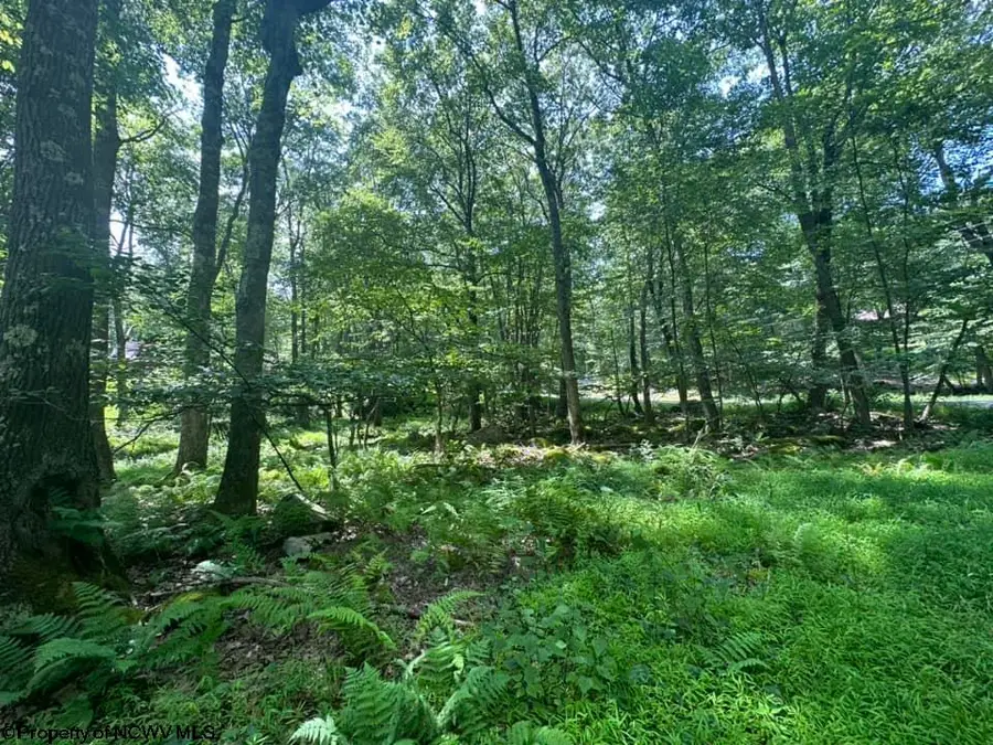 10 Aster Drive, Terra Alta, WV 26764 - Image #2