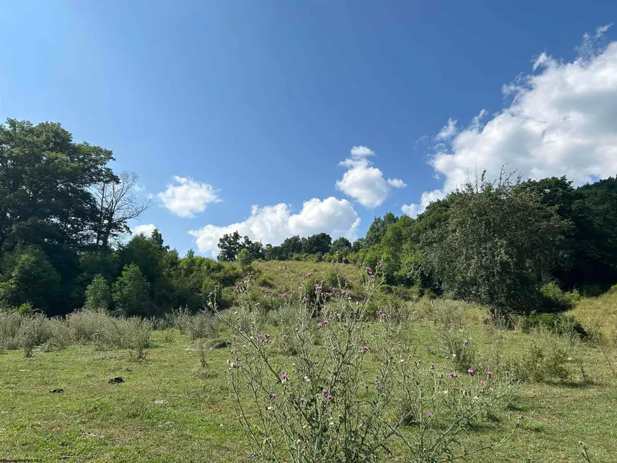 TBD Dryfork Road, Dryfork, WV 26263 - Image #2