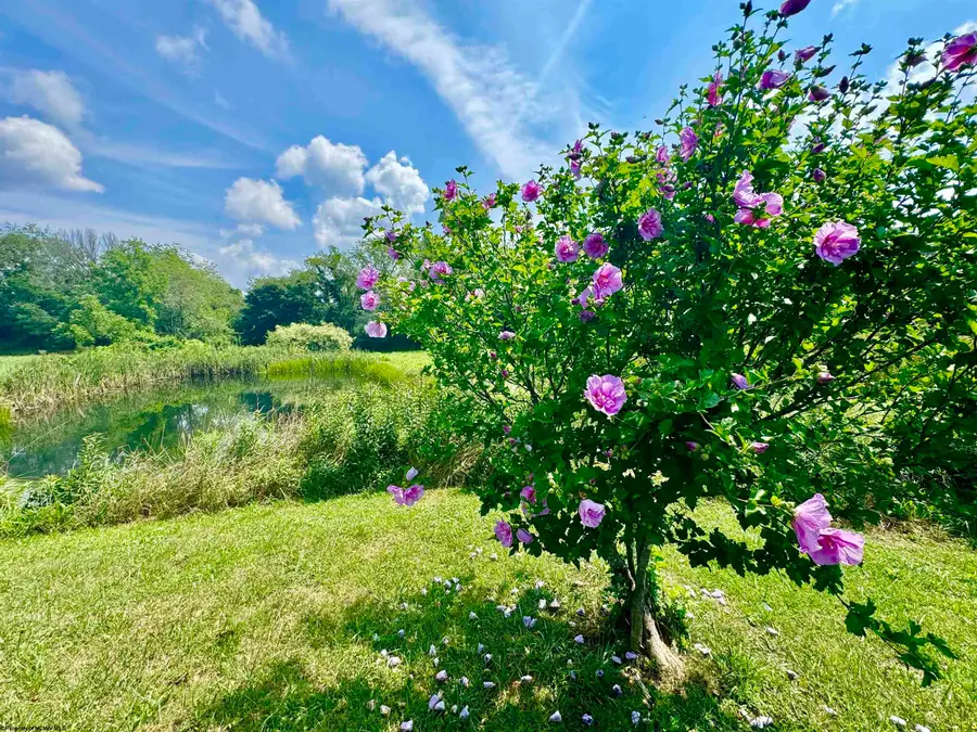 624 Arnold Hill Road, Elkins, WV 26241 - Image #2