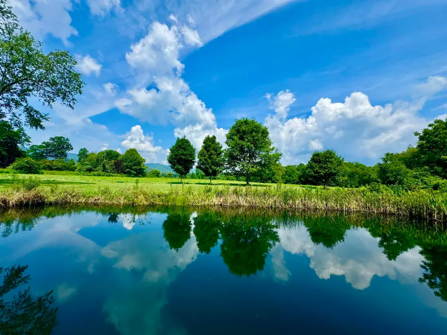 624 Arnold Hill Road, Elkins, WV 26241 - Image #3