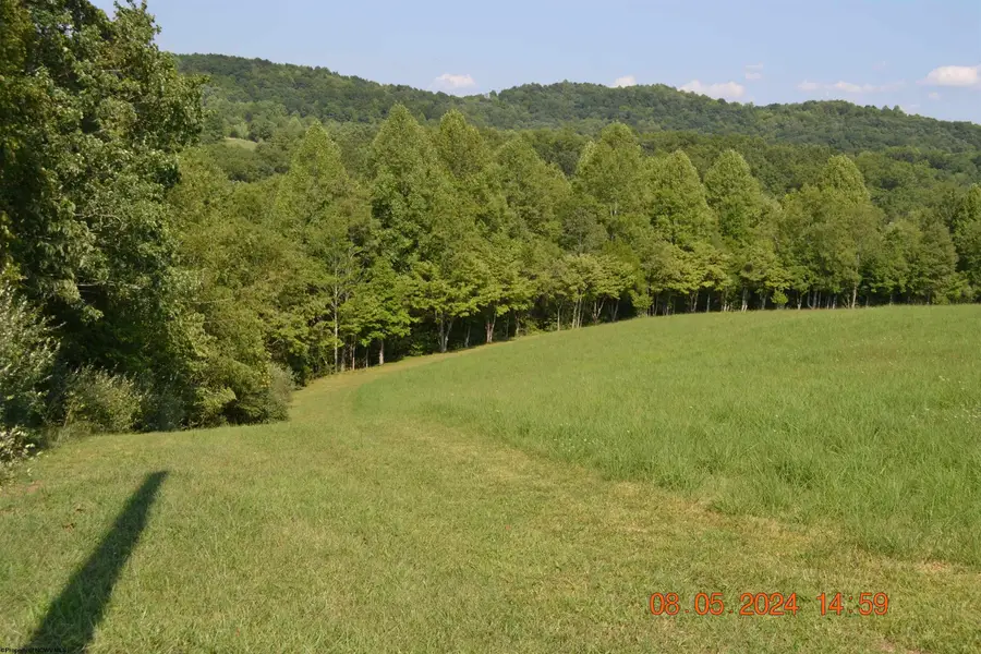 000 Hawk's View Lane, Napier, WV 26631 - Image #3