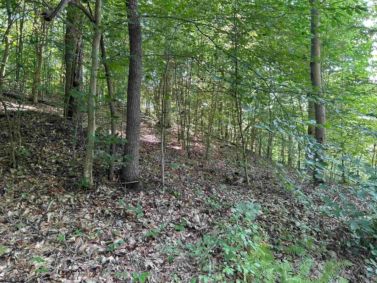 Lot 3 East Run Circle, Four States, WV 26572 - Image #1
