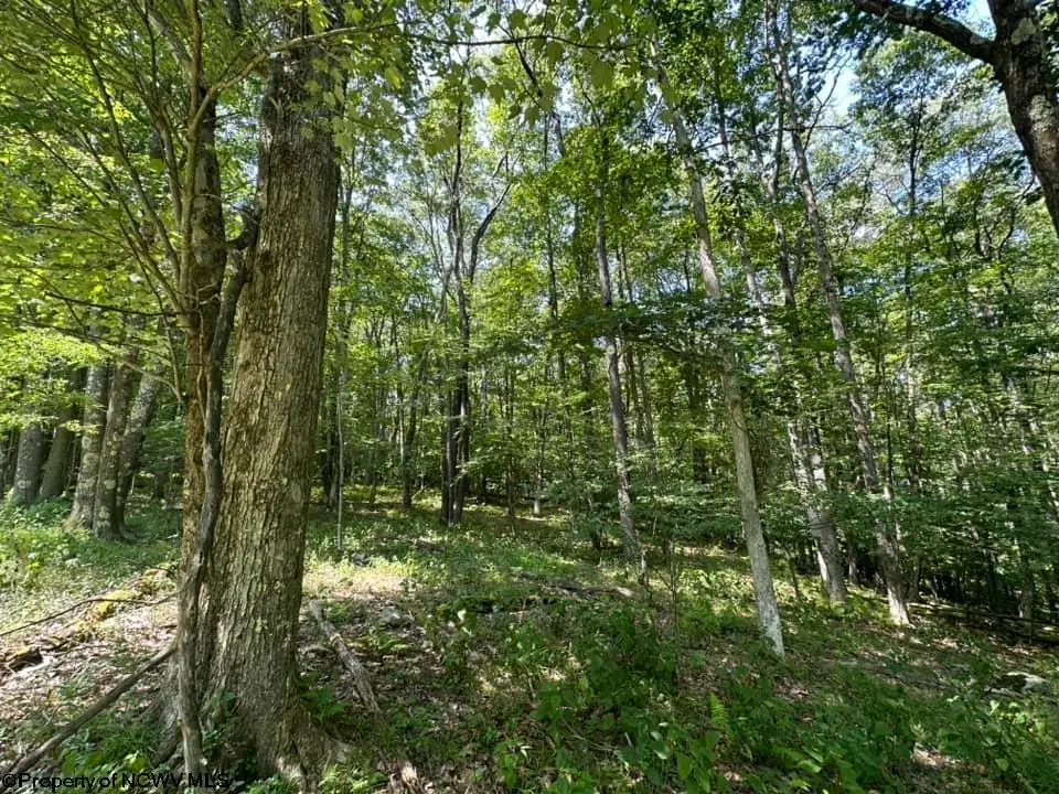 106 & 107 Lakeview Drive, Terra Alta, WV 26764 - Image #1