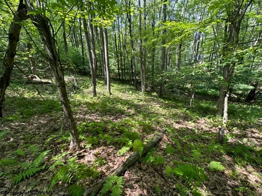 106 & 107 Lakeview Drive, Terra Alta, WV 26764 - Image #2