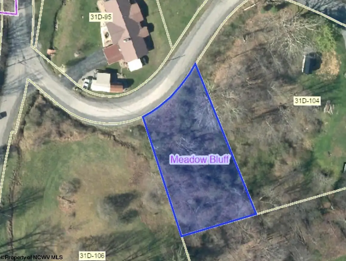 TBD Marfrance Road, Quinwood, WV 25981 - Image #1