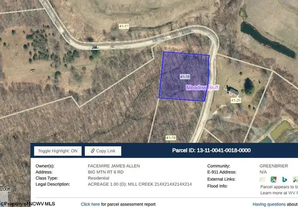 TBD Big Mountain Road, Rupert, WV 25984