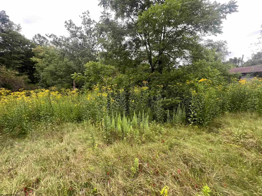 TBD Midland Trail, Rupert, WV 25984 - Image #2