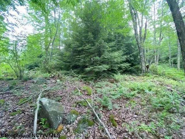 Lot 33 Canal Street, Davis, WV 26260 - Image #3