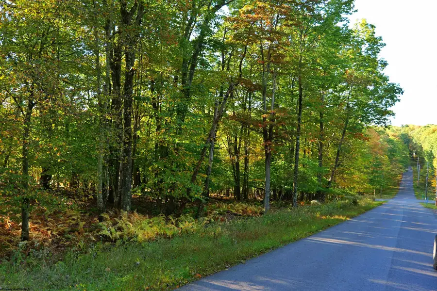 TBD E ALPINE Drive, Terra Alta, WV 26764 - Image #3